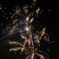 IMG_1183608