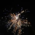 IMG_1183611