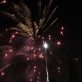 IMG_1183639