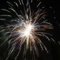 IMG_1183649