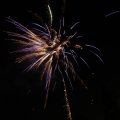 IMG_1183655