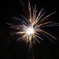 IMG_1183659