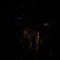 IMG_1183679