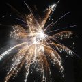 IMG_1183686