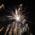 IMG_1183687