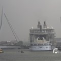 IMG_1185779