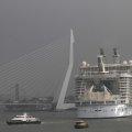 IMG_1185808