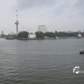 IMG_1185838