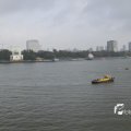 IMG_1185840
