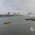 IMG_1185845
