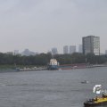 IMG_1185858