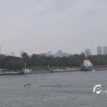 IMG_1185859