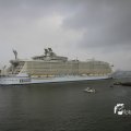 IMG_1185894