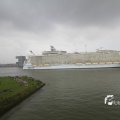 IMG_1185917