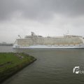 IMG_1185919