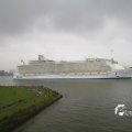 IMG_1185921
