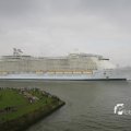 IMG_1185924
