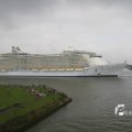 IMG_1185929