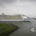 IMG_1185931