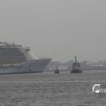 IMG_1185940