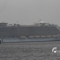 IMG_1185944