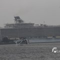 IMG_1185946