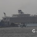 IMG_1185947