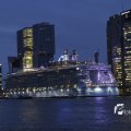 IMG_1189081