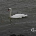 IMG_1189255