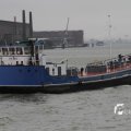 IMG_1189274