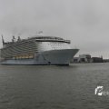 IMG_1189475