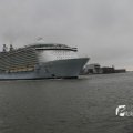IMG_1189482
