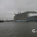 IMG_1189485