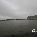 IMG_1189506