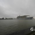 IMG_1189509