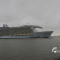 IMG_1189517