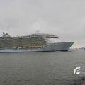 IMG_1189519