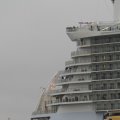 IMG_1189546