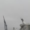 IMG_1189585