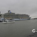 IMG_1189586