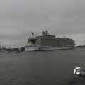 IMG_1189595