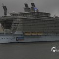 IMG_1189597