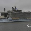IMG_1189599