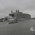 IMG_1189601