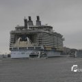 IMG_1189608