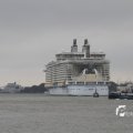 IMG_1189617