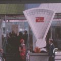 IMG_1186266
