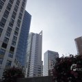 IMG_1187232