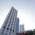 IMG_1187237