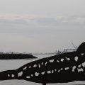 IMG_1187242